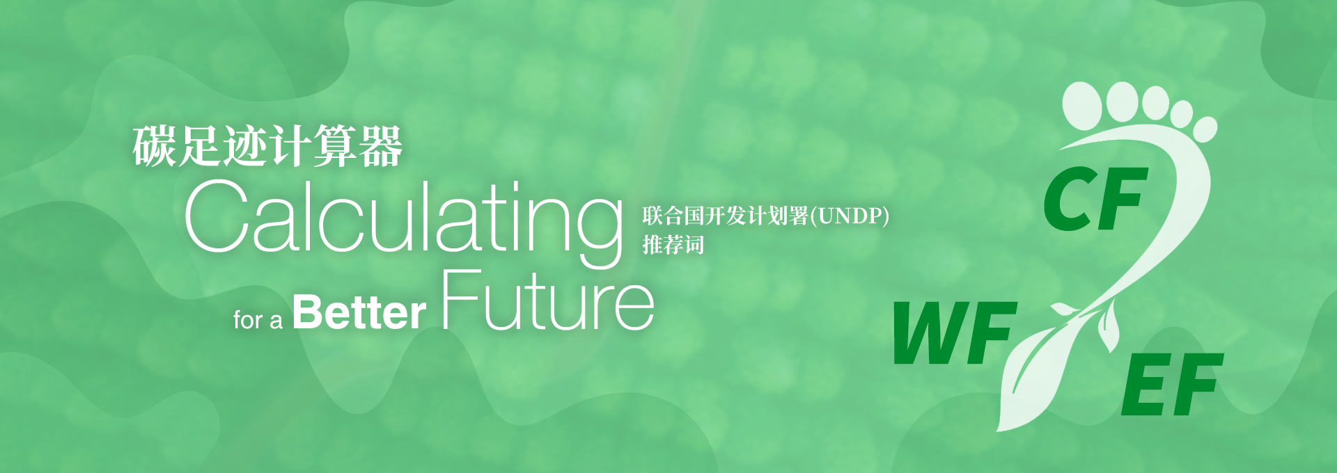 碳足迹计算器