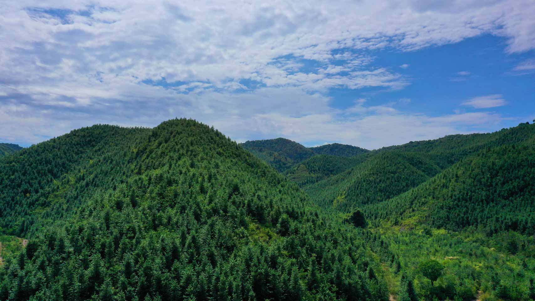 “长三角示范区”碳普惠机制合作协议在沪签订